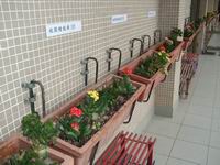 種植走廊